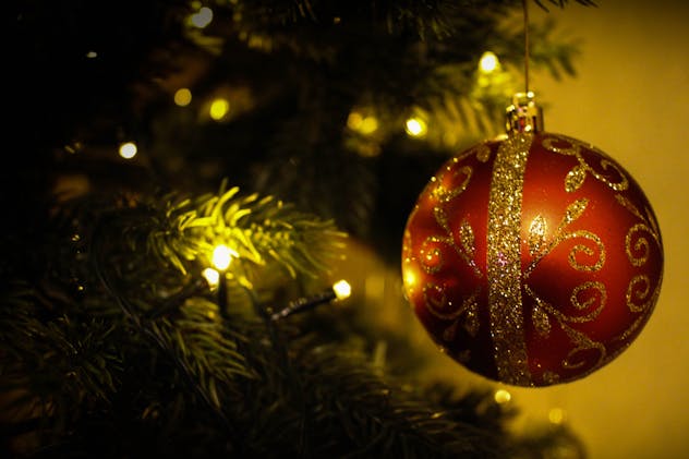 The King of Christmas Trees: A Tale of an Elf's Fresh Morning in the Mountains